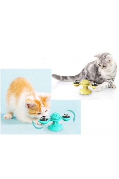 CMT Cat Playing Ball with Lighted Suction Cup - Windmill