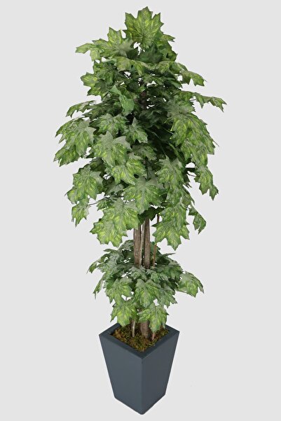 Yapay Çiçek Deposu Yapay Ağaç Çınar Yapraklı Akçaağaç 170 Cm Gri Yeşil