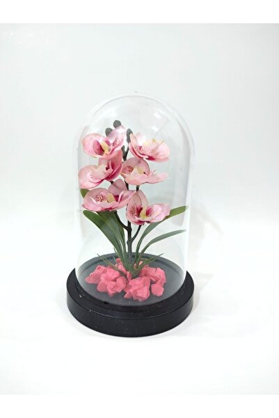 Genel Markalar Cam Görünümlü Fanus Içinde Yapay Çiçek Pembe Orkide Teraryum 2...