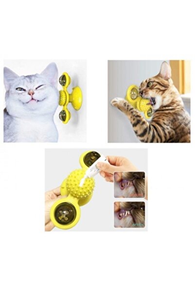 CMT Cat Playing Ball with Lighted Suction Cup - Windmill