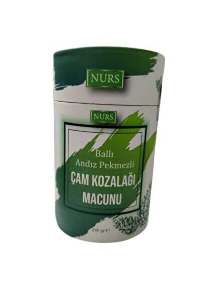 Nurs Lokman Hekim Çam Kozalak Macunu Ballı Andız Pekmezli 240 gr