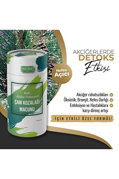 Nurs Lokman Hekim Çam Kozalak Macunu Ballı Andız Pekmezli 240 gr