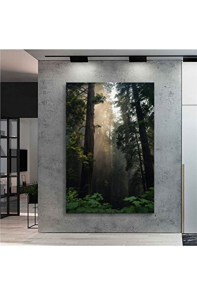 Sebenta Doğa Orman Dekoratif Kanvas Tablo