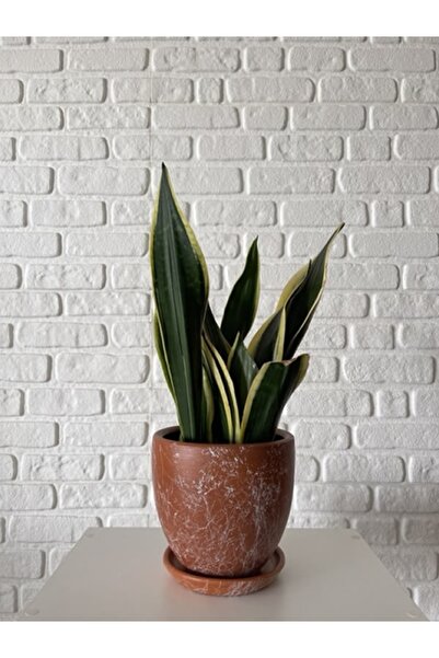 odka 8litre Saksı Tabaklı Yükseklik:17cm Çap:19cm Mia Kiremit Mermer Desenli