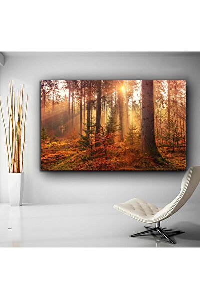 Sebenta Orman Doğa Huzur Kanvas Tablo