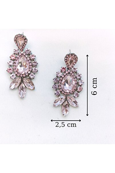 dejavugümüş Kadın Pembe Rengi Sallantılı Kristal Taşlı Abiye Küpe