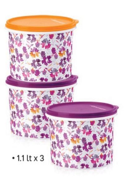 Tupperware Colorful Refrigerator Carrying and Storage Container 1.1 Lt Set of 3 Esc