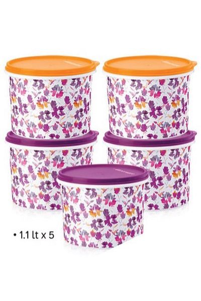Tupperware Colorful Refrigerator Carrying and Storage Container 1.1 Lt Set of 5 Esc