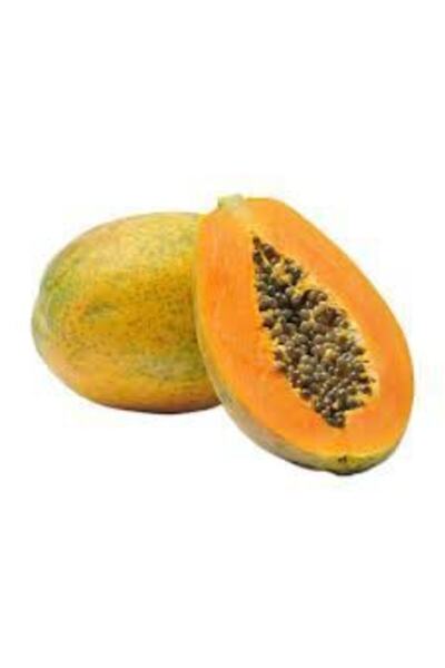 Tohumcumm 3 Adet Tohum Ithal Nadir Tropikal Bodur Papaya Ağacı Tohumu