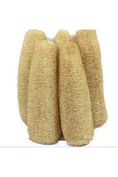 Tohumcumm Lif Kabak Tohumu Lif Kabağı Tohumu 5 Adet Tohum