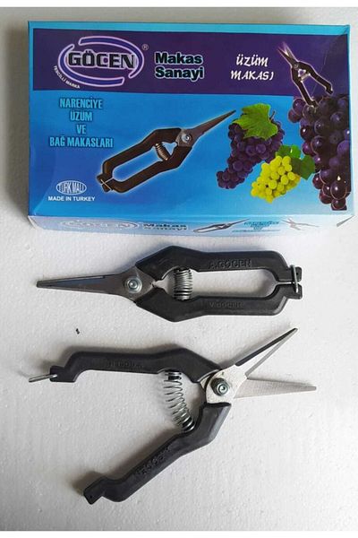 yatagan store Pointed Scissors - Grape Scissors
