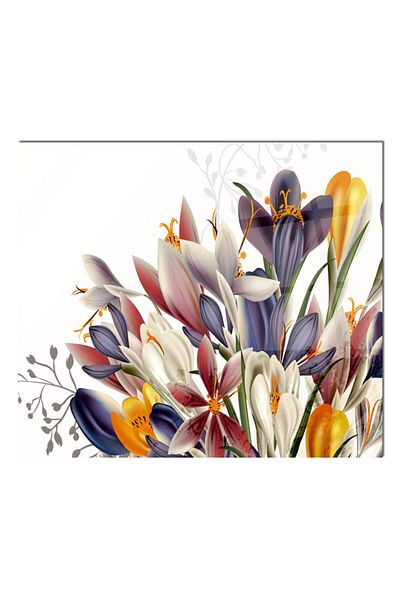 Olinpa 76X49,5 cm Glass Stove Back Protector Countertop Built-In Back Protector |   Geometric Flower