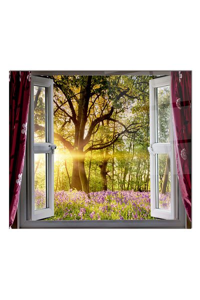 Olinpa 76X49,5 cm Glass Stove Back Protector - Countertop and Built-In Back Protector |   Window and Forest
