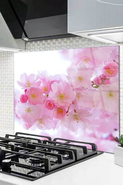 Olinpa 50X50 cm Glass Stove Back Protector Countertop Built-In Back Protector |   Apricot Flower