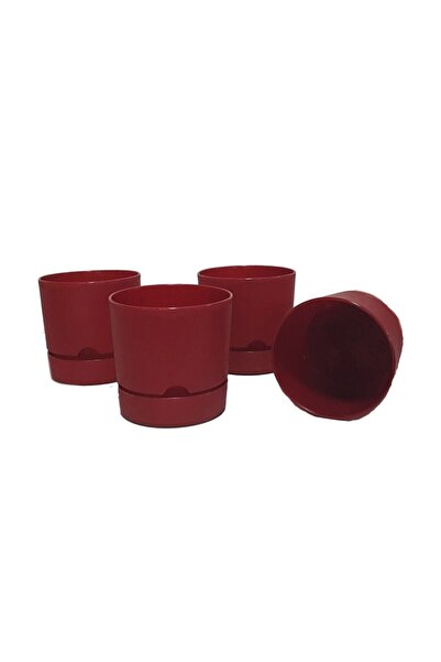 Poliwork Avantajlı Set 4 Adet Begonya 15 Cm Tabaklı Saksı Bordo 1,8 Lt