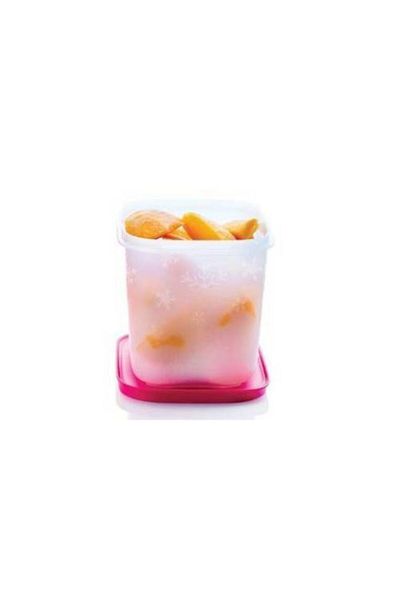Tupperware Alaska Storage Container Set of 2 1.1 Liters
