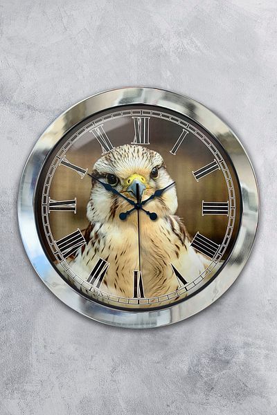 Kasva Concept Gift 36 cm Chrome Metal Eagle Wall Clock