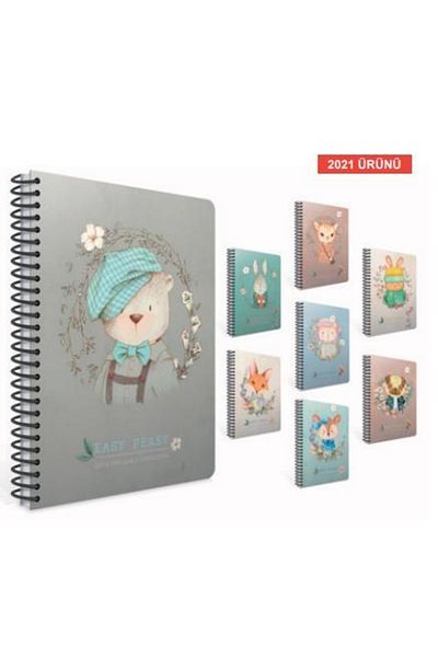 Gıpta غطاء صلب للكمبيوتر الدفتري 17x24 Easy Notes 120ypمخطط 4743/ جيبتا