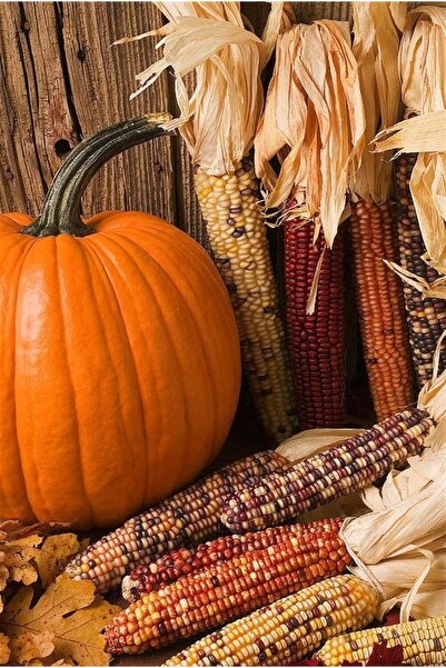 Marcel Kristal Tablo لوحة فسيفساء ماسية بتصميم اليقطين والذرة من مارسيل مقاس 36 × 51 سم