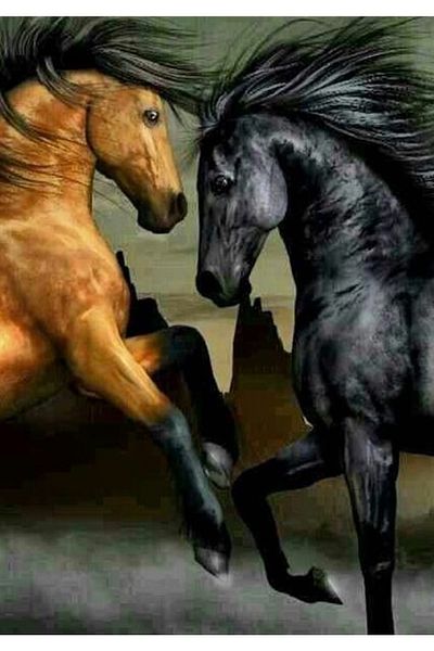 Marcel Kristal Tablo Brown and Black Horse Marcel Art Diamond Mosaic Painting 46X66Cm