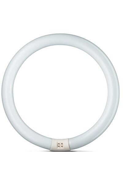 Philips 40w/865 Master Tl-e Circular Super 80 Simit Ampul/ Beyaz Işık