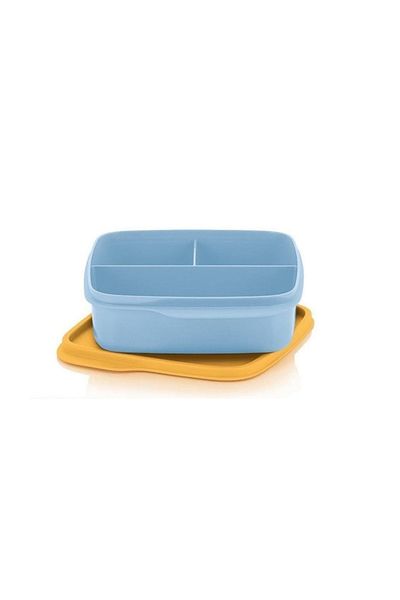 Tupperware Compartmented Lunch Box 550 Ml Breakfast Plate Hsgl