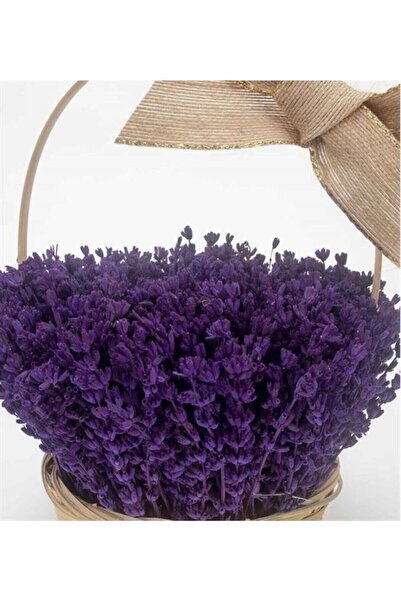 variegataseeds Bodur Ingiliz Lavantası Kokulu Çiçek Tohumu 10 Adet