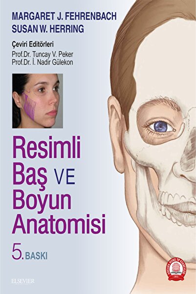 Ankara Nobel Tıp Kitapevleri Resimli Baş Ve Boyun Anatomisi