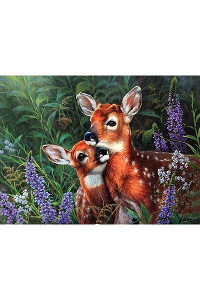 Marcel Kristal Tablo 55x40cm Bambi Alageik Diamond Mosaic Painting