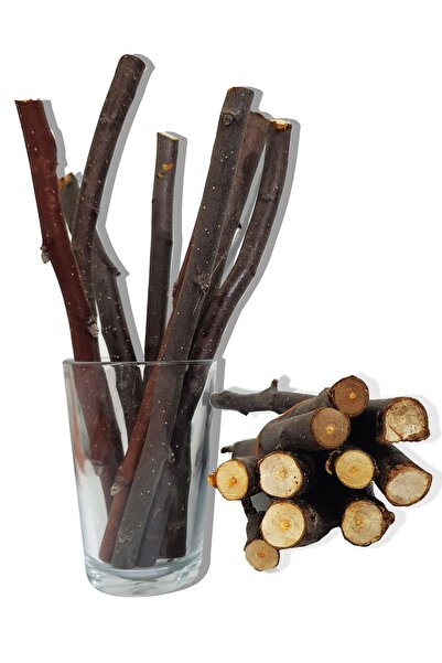 MSM Kalın Elma Dalı 15 Cm 10 Adet Parmak Kalınlığında Apple Branch For Rodents 10 Units