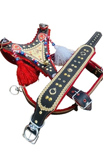 Sürmeli Tasma Gladyatör Kangal Köpek Tasma Seti Zilsiz Model Hakiki Deri