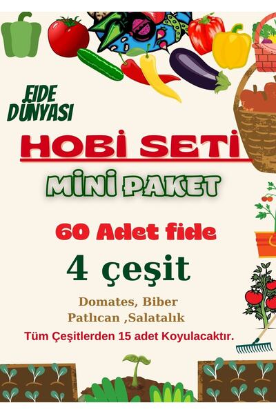 Fide Dünyası Fide Hobi Seti Mini 60 Adet Fide 4 Çeşit Fide Avantajlı Fiyat
