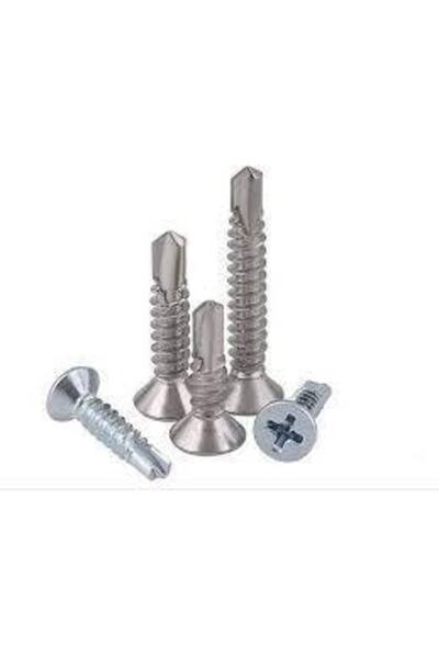 Genel Markalar 3,9x16 Yhb Matkap Uçlu Vida-1.6 Cm Akıllı Vida 100 Adet