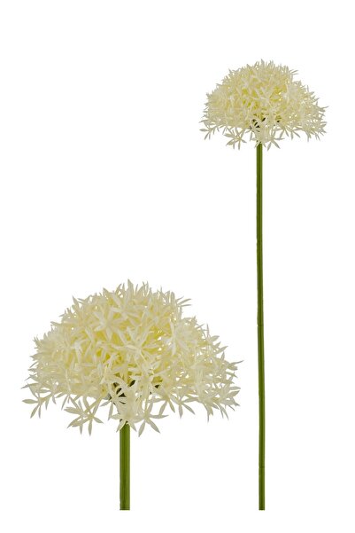 The Mia Fiorina Pıtırcık Lavanta Krem