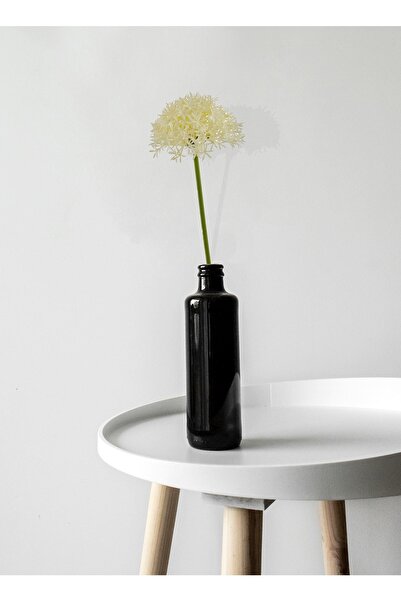 The Mia Fiorina Pıtırcık Lavanta Krem