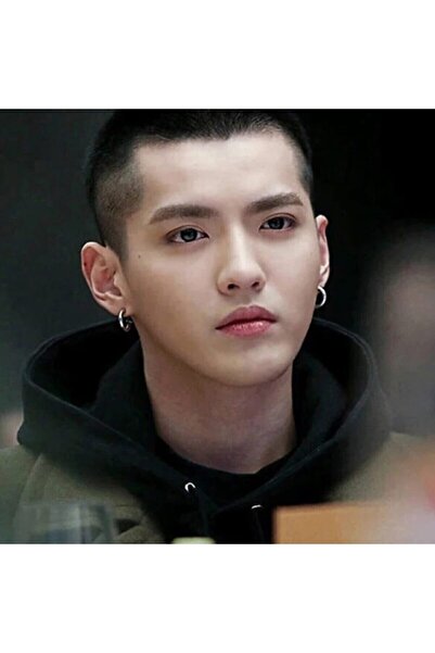 The Collection Deliksiz Sıkıştırma Çelik Kalın Halka Erkek Küpe