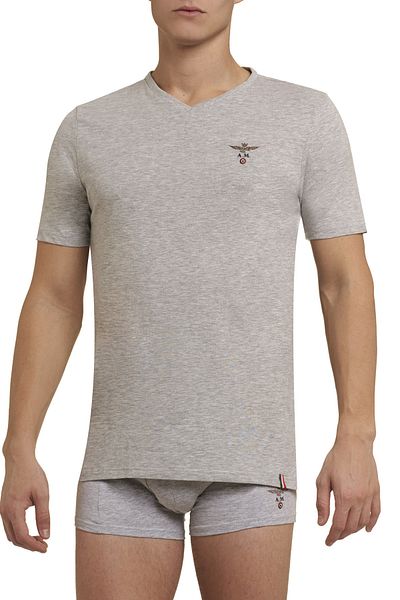 Aeronautica Militare T-Shirt - Grau - Regular Fit