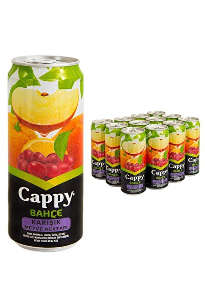 Cappy Meyvesuyu Kutu Karişık 330 Ml Tnk*12