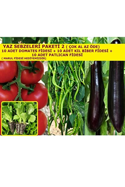 AHG BOTANİK Yaz Sebzeleri Fide Paketi 2 10 Domates 10 Biber 10 Patlıcan Fides...
