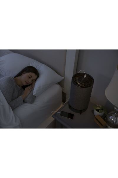 Bissell Myair Hub Hepa Ve Karbon Filtreli Hava Temizleyici - Siyah