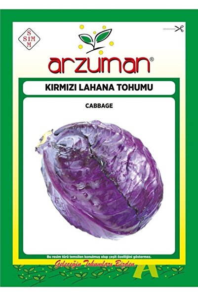 Arzuman Kırmızı (mor) Lahana Tohumu 10 Gram