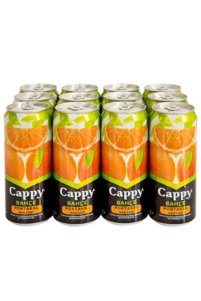 Cappy Meyvesuyu Portakal 330 Ml X 12 Adet