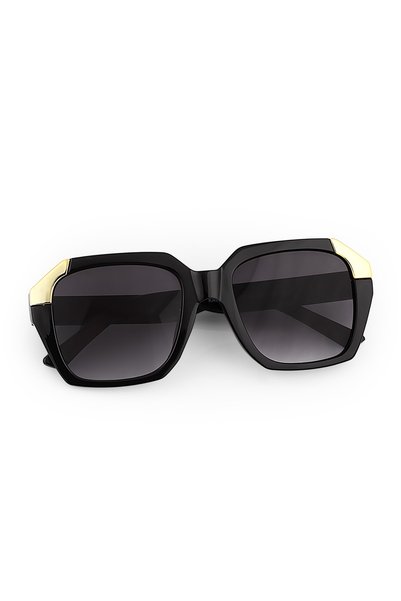 Royal Club De Polo Barcelona Black Women's Sunglasses Rpsc000801