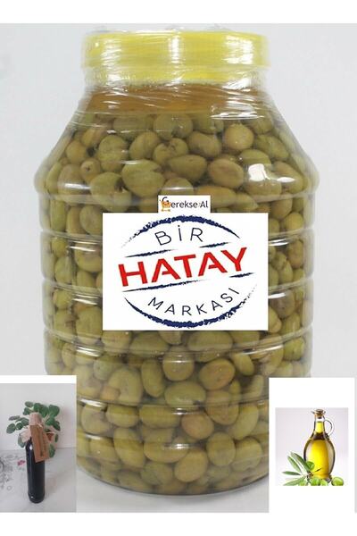 GEREKSEAL Söylemez Zeytincilik 5 kg Yeşil Zeytin 1 kg Hatay Zeytinyağı 1 kg H...