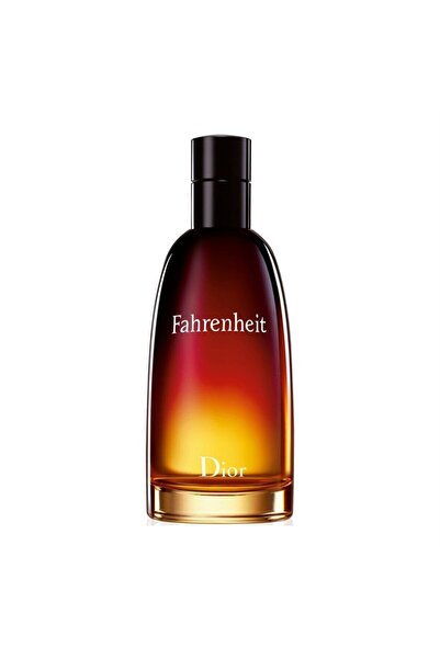 Ανδρικό άρωμα Dior Edt 100 ml