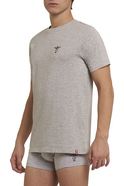 Aeronautica Militare T-Shirt - Grau - Regular Fit