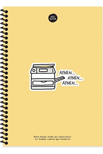 Hisli Şeyler Caiet cu dungi 17x24 - Aynen Aynen Aynen