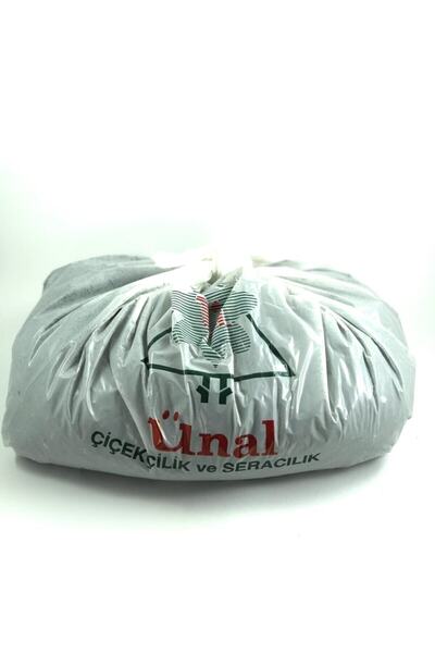 ünal kaktüs Kaktüs Ve Sukulent Toprağı