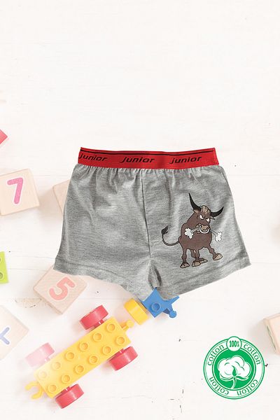 CRS Miorre Boy's Boxers