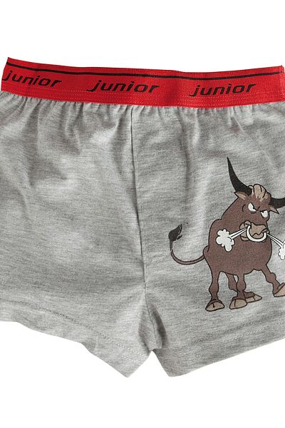 CRS Miorre Boy's Boxers